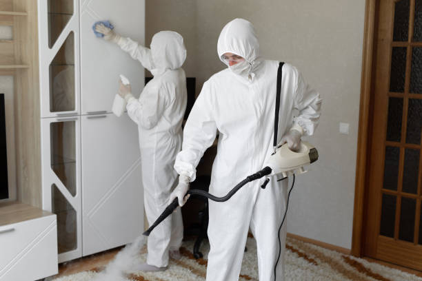 Mold Testing and Removal in Fort Ashby, WV