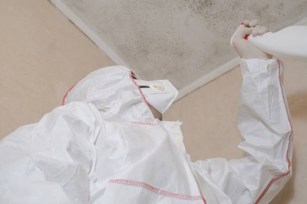 Best Office Mold Removal Services  in Fort Ashby, WV